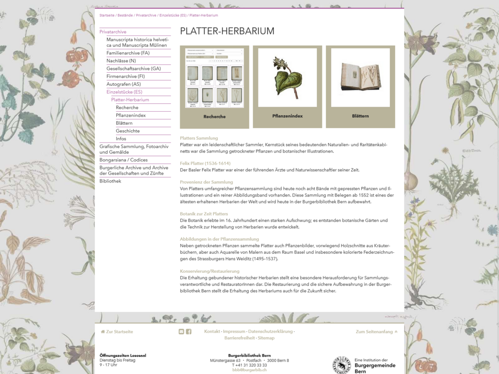 Screenshot der Webseite.